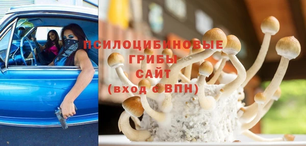 Альфа ПВП Алзамай