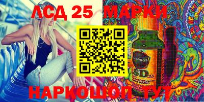 гидропоника Пенза