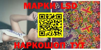 гидропоника Пенза