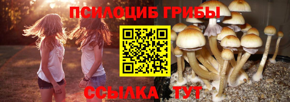 Псилоцибиновые грибы Cubensis Топки