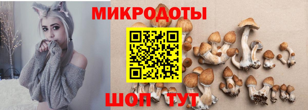 Топки  Галлюциногенные грибы мухоморы  Псилоцибиновые грибы MAGIC MUSHROOMS  Вход с VPN 